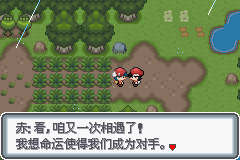 口袋妖怪白金光一周目图文攻略大全_口袋妖怪黑白2周目_口袋妖怪白金光一周目详细流程指南