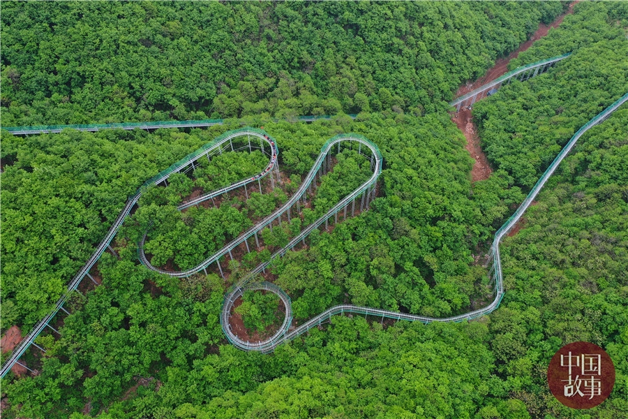 全程2公里！中原最长实景“过山车”带你飞跃丛林