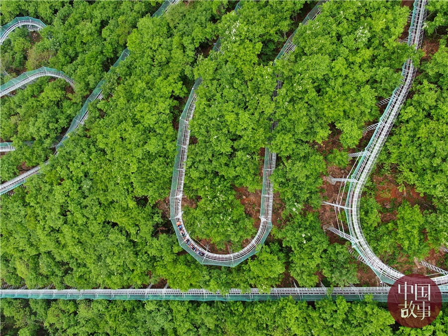 全程2公里！中原最长实景“过山车”带你飞跃丛林
