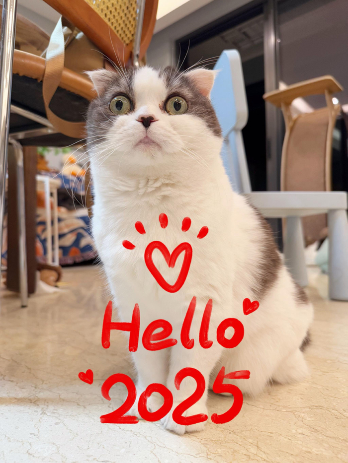 2025年新年愿望_2025新年快乐_新年快乐祝福语