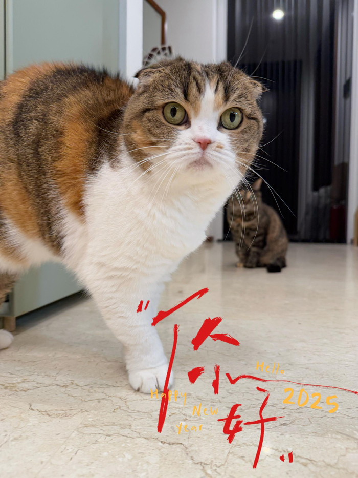 新年快乐祝福语_2025新年快乐_2025年新年愿望