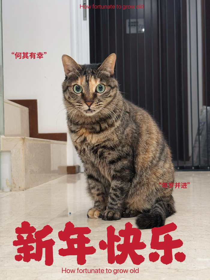 2025年新年愿望_2025新年快乐_新年快乐祝福语