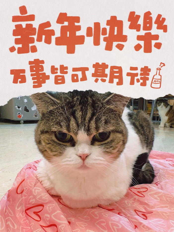 2025年新年愿望_2025新年快乐_新年快乐祝福语