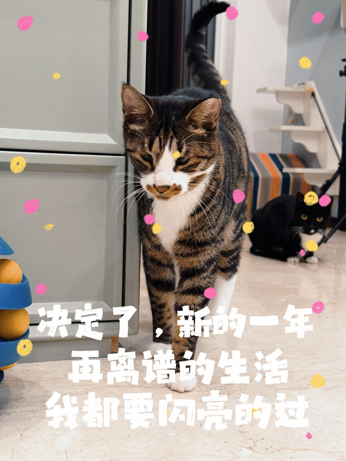 新年快乐祝福语_2025年新年愿望_2025新年快乐