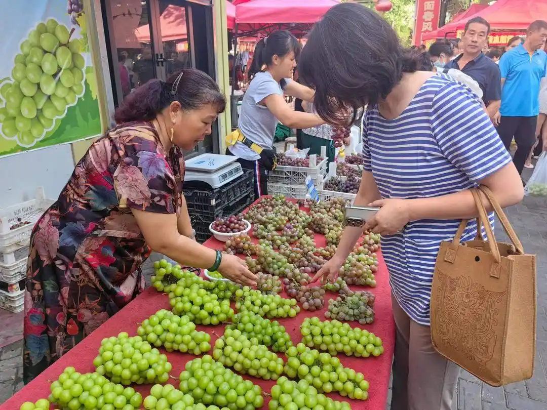 阳光玫瑰价格下跌原因_阳光玫瑰种植面积减少趋势_阳光玫瑰因何跌成“地板价”