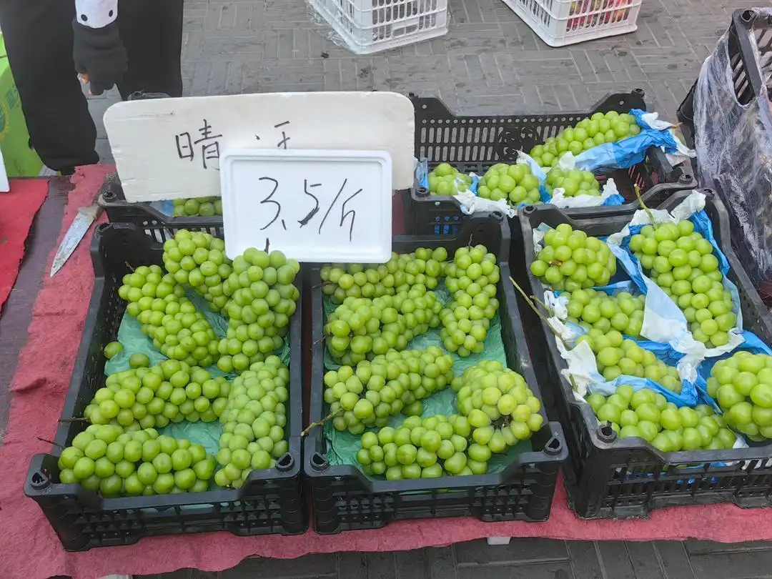阳光玫瑰价格下跌_阳光玫瑰因何跌成“地板价”_阳光玫瑰市场供需关系变化