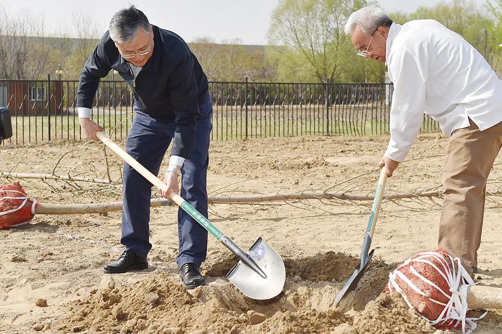 中国石油李鹭光_集团公司领导义务植树_中国石油科技园植树活动