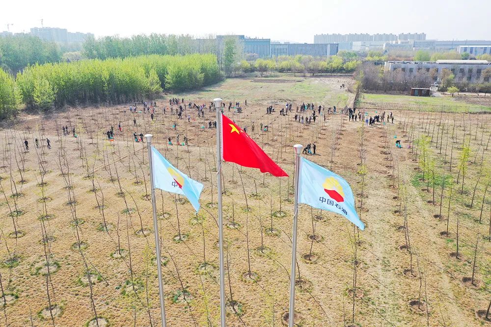 中国石油科技园植树活动_中国石油李鹭光_集团公司领导义务植树