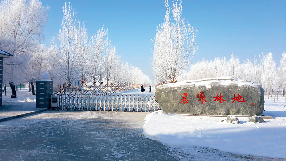 中国石油李鹭光_中国石油科技园植树活动_集团公司领导义务植树