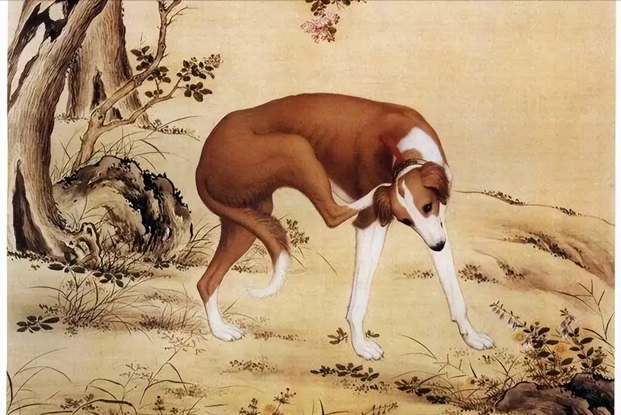 二郎神哮天犬形象演变_细狗文化历史_神将哮天犬