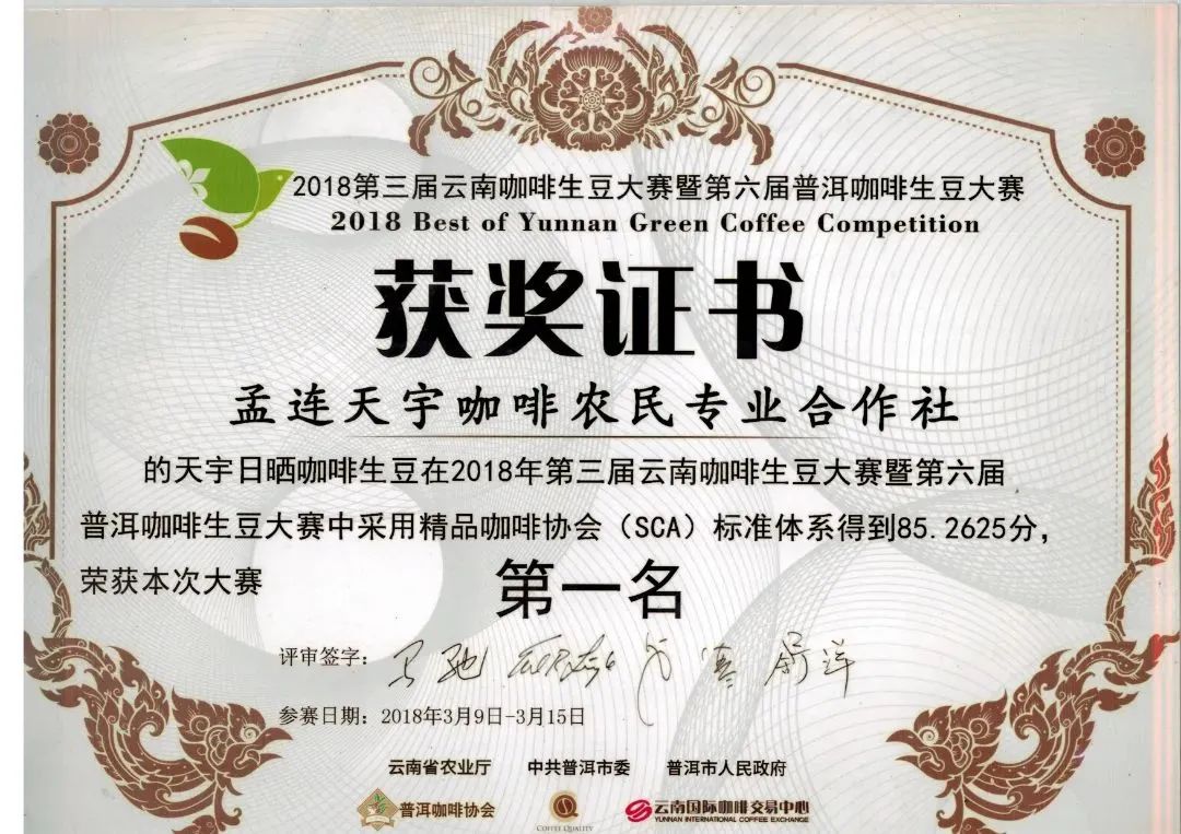 叶萍带领村民种植咖啡的故事_云南咖啡生豆大赛冠军_云南咖啡主理人路边咖啡火出圈