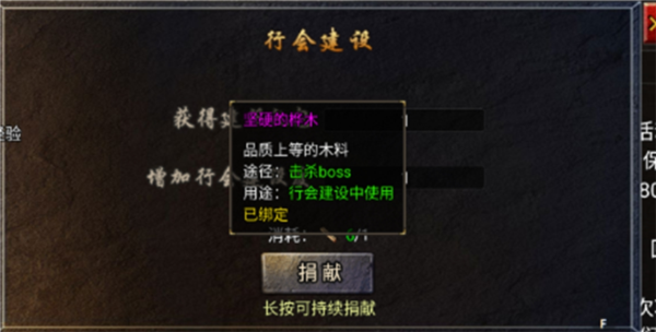 龙腾传奇图片