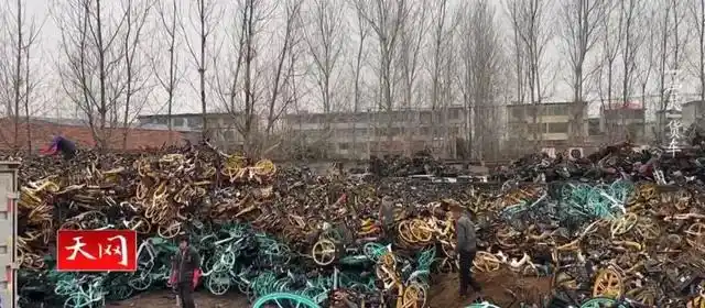 共享单车盗窃案_男子偷上万辆共享单车 每辆卖105元_央视曝光共享单车盗窃团伙