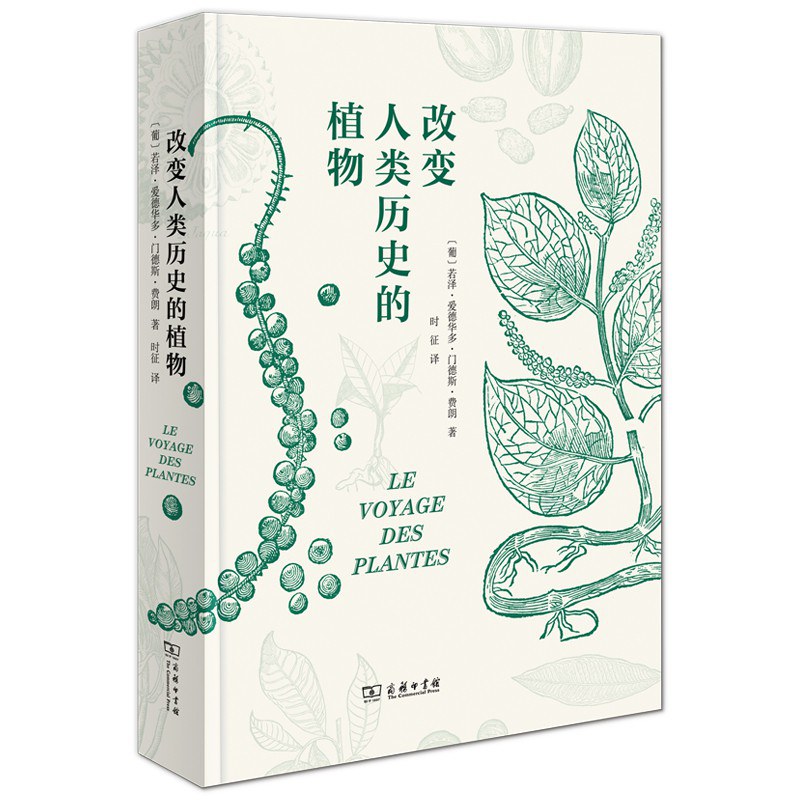 阿兹特克回力球游戏_橡胶球的历史起源_橡胶弹力球里的水是什么