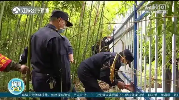 一楼业主私家庭院纠纷_小区公共绿地侵占_南京一公园被私人占有十年