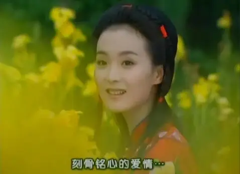 王艳的老公王志才多大_王艳豪门生活_王艳婆婆刁难经历