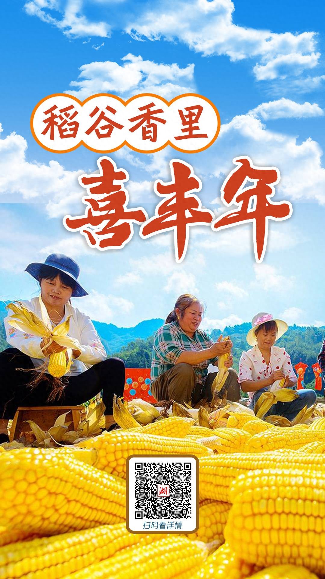 视点丨稻谷香里喜丰年