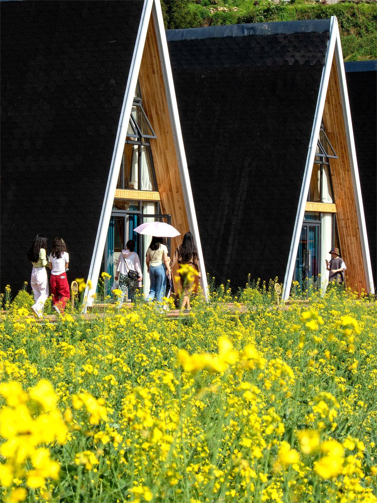 湖北 今日视点_湖北乡村旅游_湖北花朝节