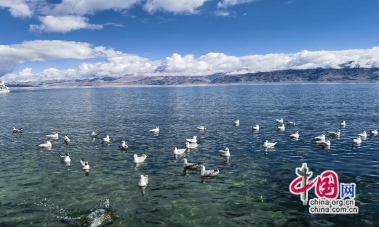 高舜礼：如何降低世界屋脊自驾游的门槛