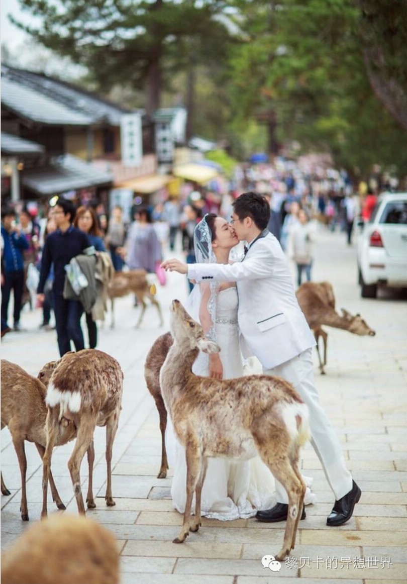 婚纱照抓拍瞬间_婚纱照旅拍攻略_浪漫婚纱图片