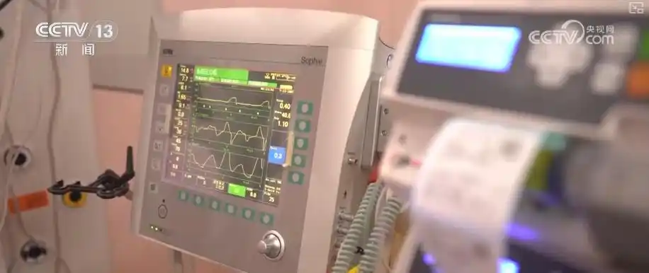 生育保险报销_生育津贴直发个人_生育津贴无需结婚证直发个人