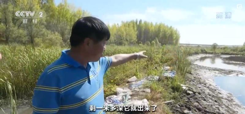 东北一鱼塘潜伏百斤巨蟒！它从哪儿冒出来的?