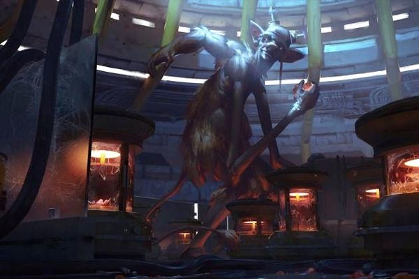 全面解析体育设施：哪里、如何建设与发展，助力健康生活