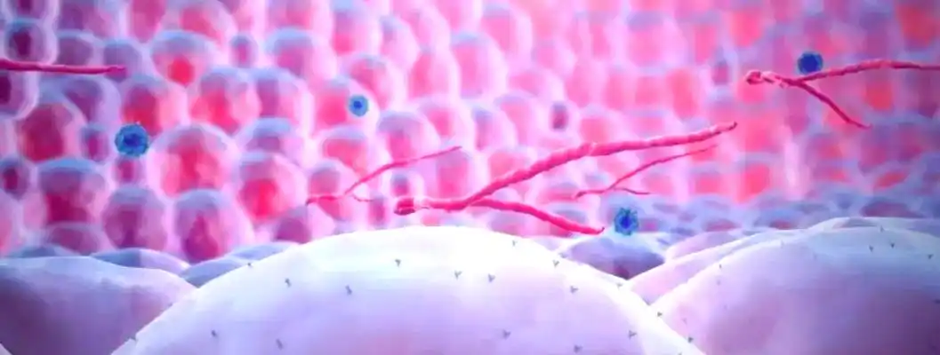 埃博拉病毒时事评论_西非埃博拉疫情爆发_埃博拉病毒简介与传播