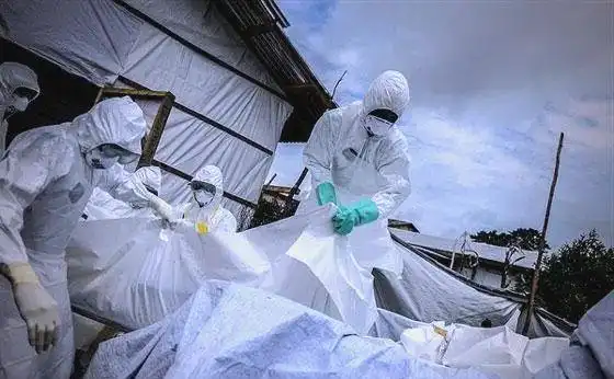 埃博拉病毒自然宿主蝙蝠研究_刚果埃博拉疫情最新进展_埃博拉病毒时事评论