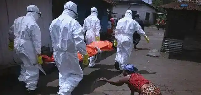 埃博拉病毒时事评论_埃博拉病毒自然宿主蝙蝠研究_刚果埃博拉疫情最新进展