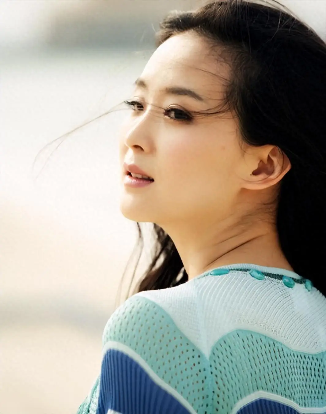 王艳 丈夫 王志才 婆婆 清朝习俗 豪门生活 困境 王鸿钦 教育问题 复出 演艺圈_王志才比王艳大多少