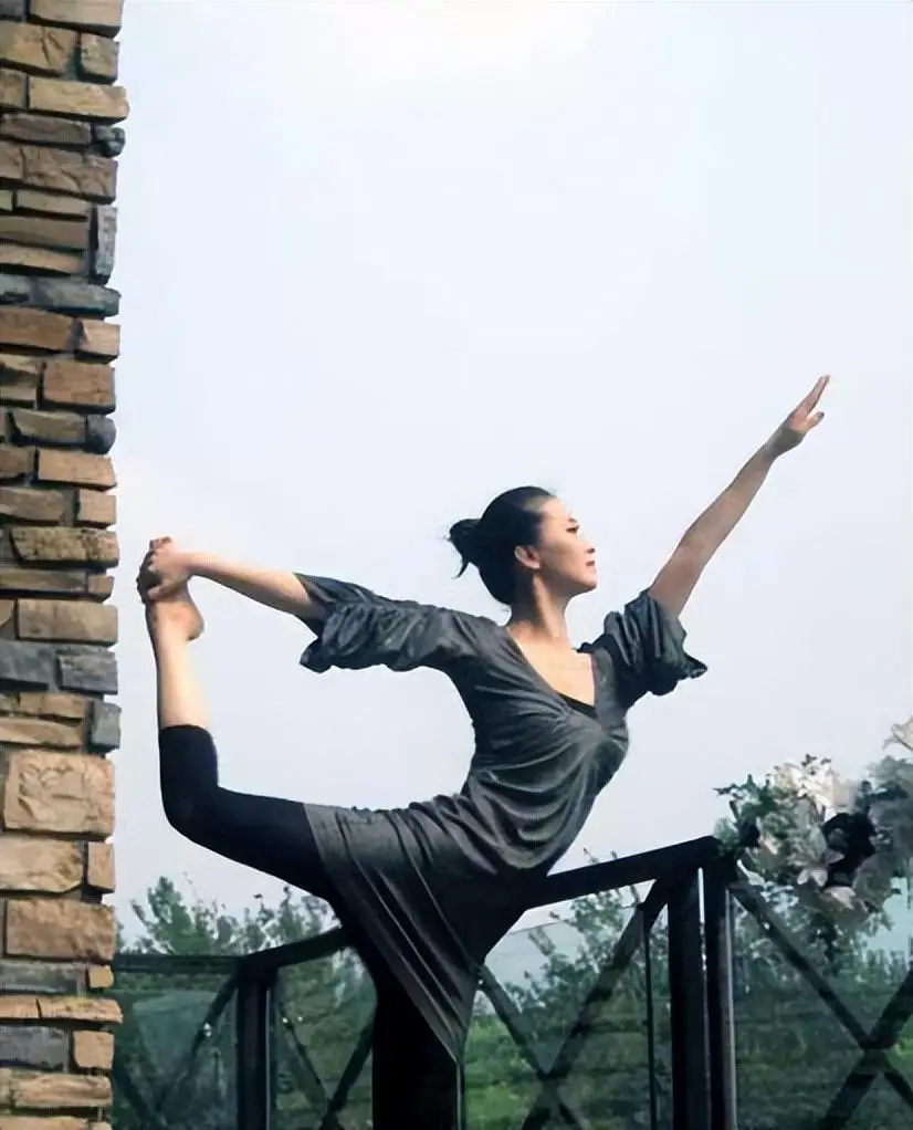 王艳 丈夫 王志才 婆婆 清朝习俗 豪门生活 困境 王鸿钦 教育问题 复出 演艺圈_王志才比王艳大多少