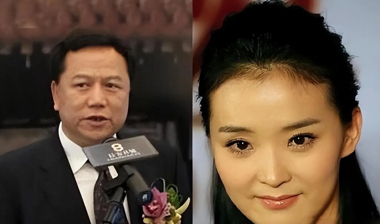 王艳 丈夫 王志才 婆婆 清朝习俗 豪门生活 困境 王鸿钦 教育问题 复出 演艺圈_王志才比王艳大多少