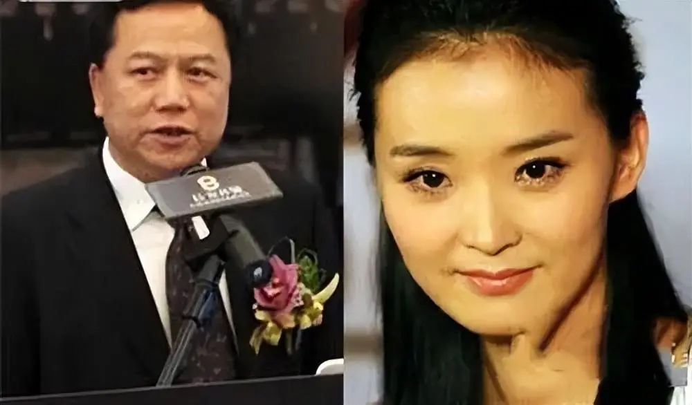 王志才比王艳大多少_王艳 丈夫 王志才 婆婆 清朝习俗 豪门生活 困境 王鸿钦 教育问题 复出 演艺圈
