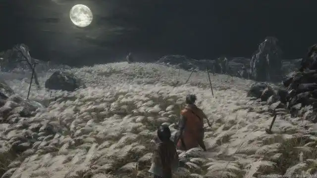 只狼武侠元素分析_武侠游戏《流星蝴蝶剑》_鸳鸯蝴蝶剑游戏