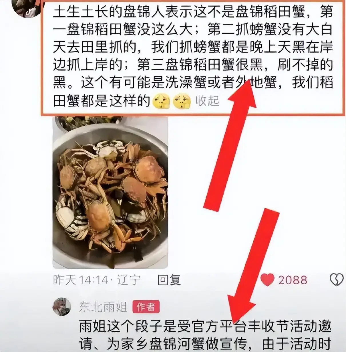 直播行业监管整顿_网红“小黑妮”结婚带货 直播间被封_网红违规处罚案例