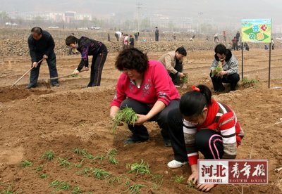 河青“开心农场”迎首批“地主”