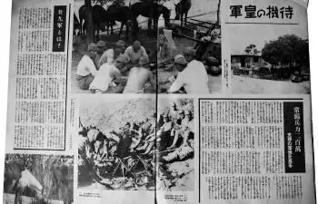 731部队 鲁西细菌战 霍乱细菌战_电影《731》今日正式上映