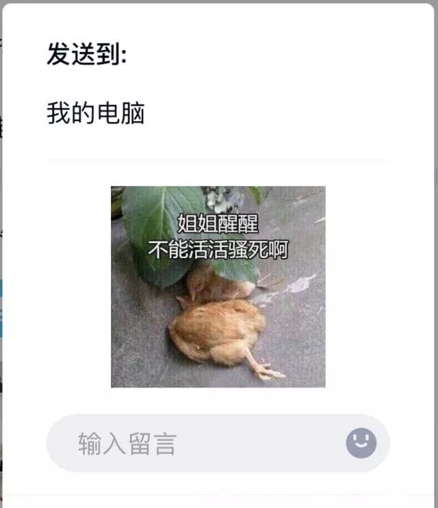 QQiOS界面焕新升级_QQ8.0.0版本更新_qq国际版免费下载