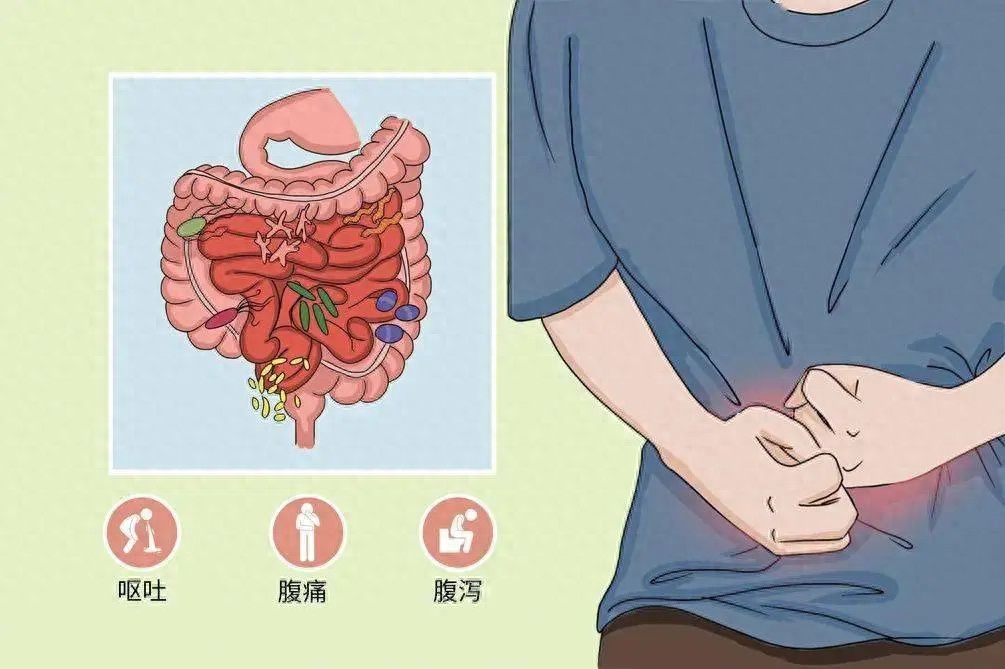 发热加腹泻、浑身没劲，夏季急性胃肠炎来袭，应该如何应对？