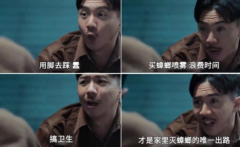 灭蟑螂最有效的方法_蟑螂胶饵使用技巧_杀蟑螂的最佳方法