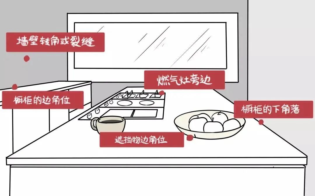 蟑螂胶饵使用技巧_杀蟑螂的最佳方法_灭蟑螂最有效的方法