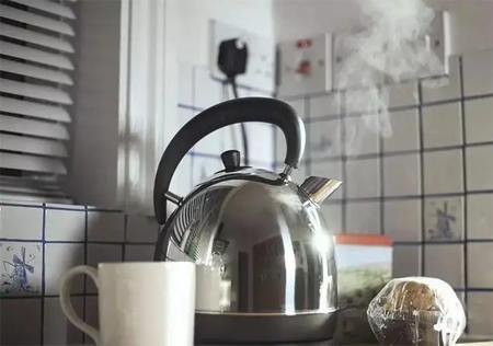 蟑螂药剂毒饵诱杀效果_蟑螂繁殖力超强灭蟑方法_灭蟑螂最有效的方法