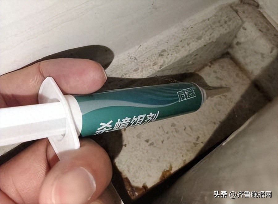 蟑螂怎么消灭最彻底！五个方法搞定家里的蟑螂