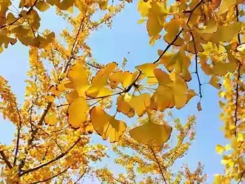 这辈子到底图个啥_说重要事专用图片_如何协调身和心