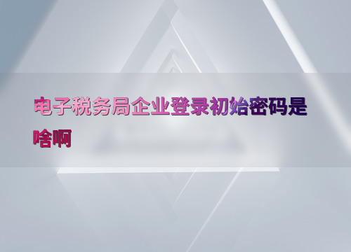电子税务局企业登录初始密码是啥啊