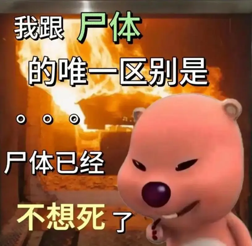 初代熬死续作，《冒险岛2》韩服停运，网友调侃：衍生作已就绪