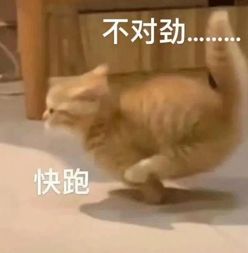 图 (3).jpg