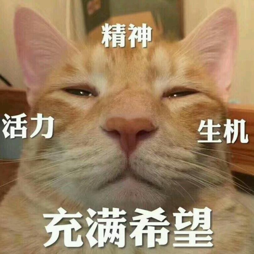 图 (6).jpg