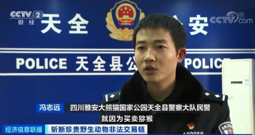 ？触目惊心！非法贩卖变“合法”？国家一级保护动物遭层层转卖，价格翻40倍！背后牵出黑色产业链...